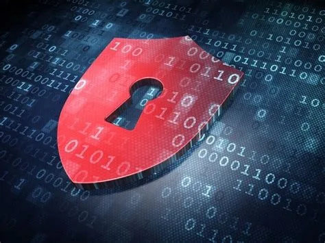 Servidor de seguridad profesional